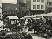Trg bana Jelačića oko 1910. godine .jpg